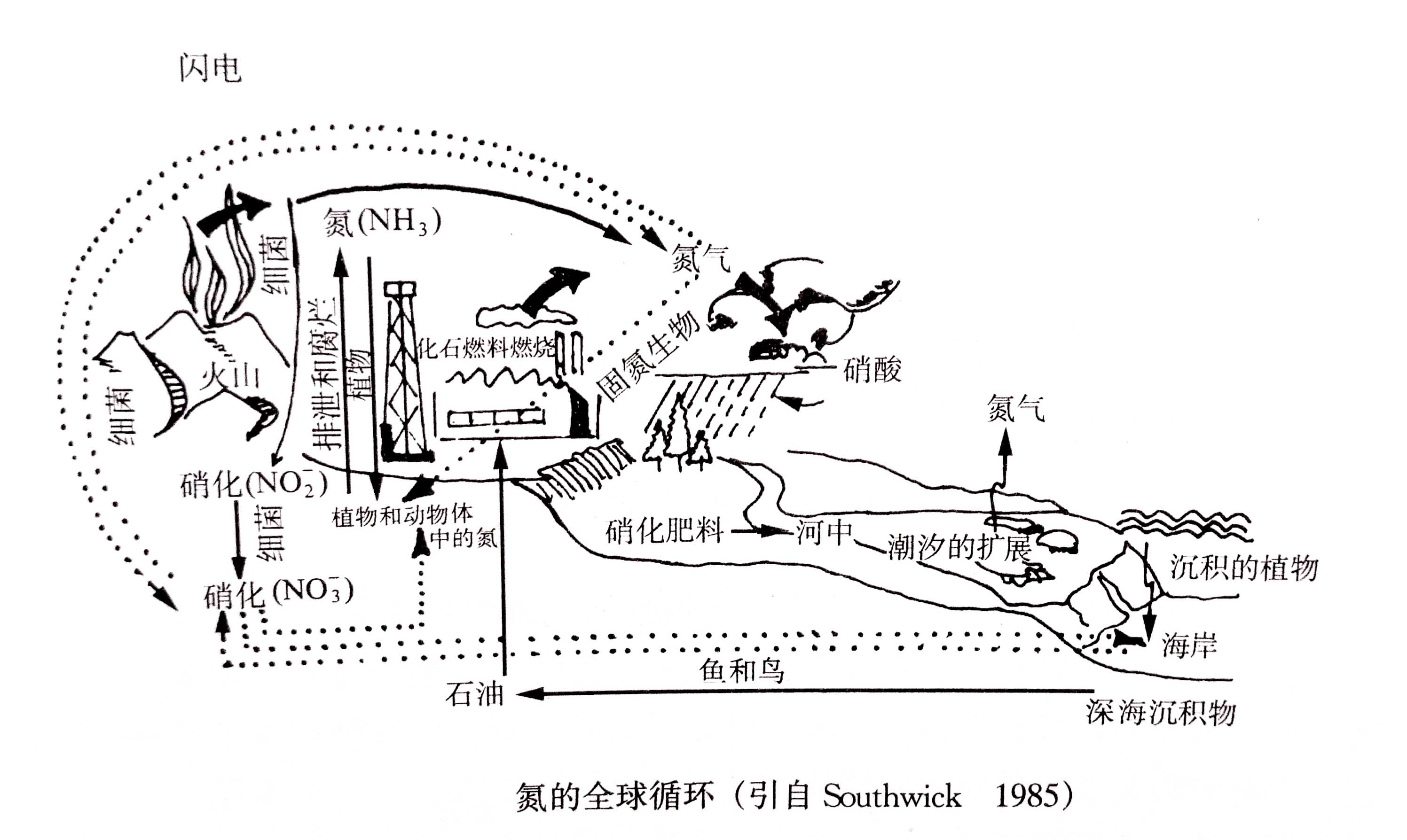 生態系統的物質循環——氮、磷、硫循環
